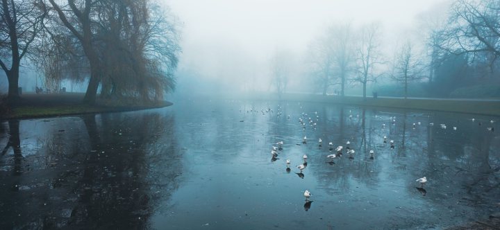 Winter magic